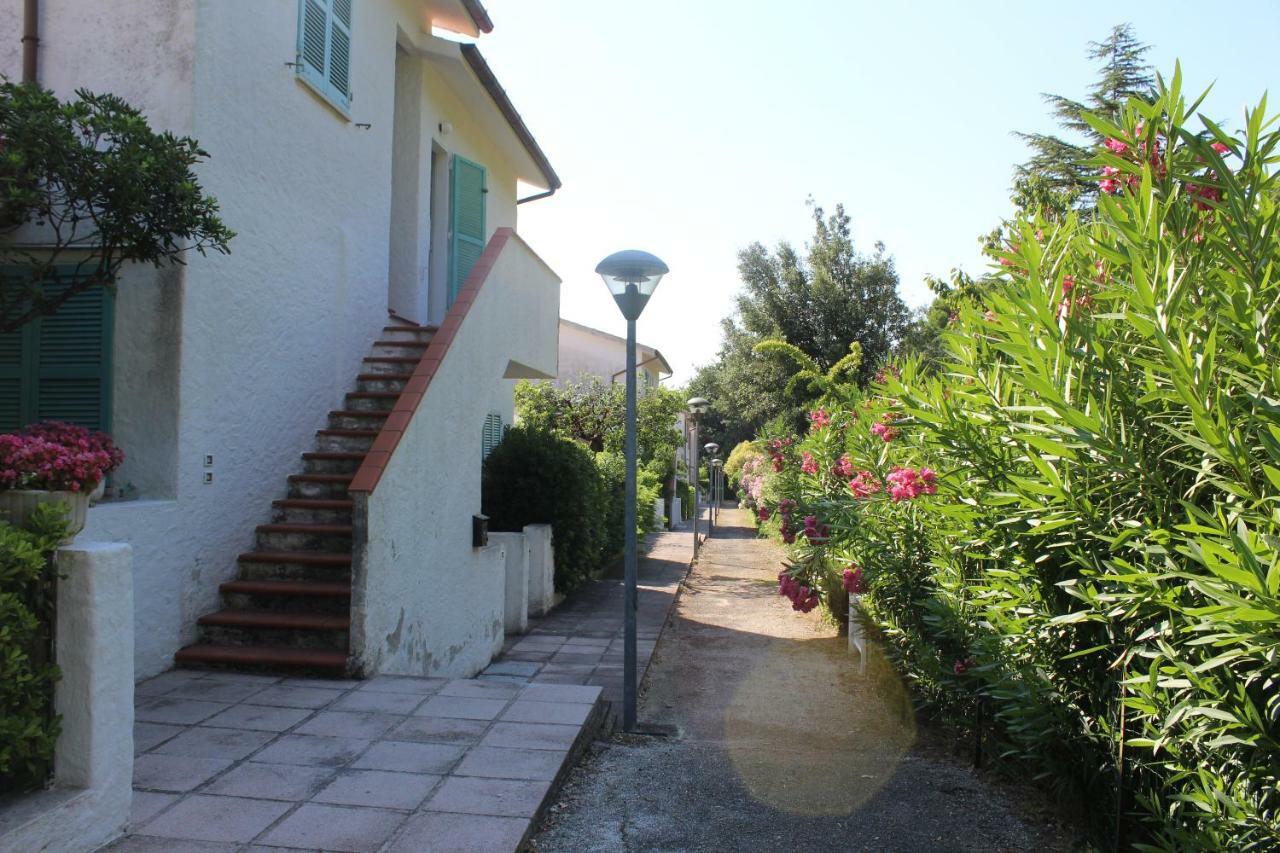 Апартаменты Bilo Frank - Delizioso Bilocale Con Terrazzo Vista Mare Нумана Экстерьер фото